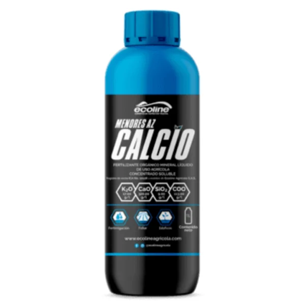 MENORES AZ CALCIO